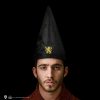 Cinereplicas Hats | Gryffindor Student Hat